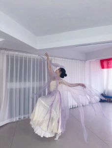 Original Embroidery Ancient Style Petal Sleeve Dance Costume Hanfu Womens Medium Elasticity Four Seasons Universal Costume