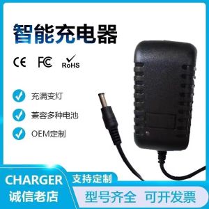 High-Pressure Car Wash Machine Battery Pack 22V0.5A Charger DC Input 500mA Constant Current Constant Voltage High Quality Power