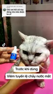 Chai nhỏ mắt hàng chuẩn nhà Mẹ Diệu : hỗ trợ giảm viêm tuyến lệ chảy nước mắt nhiều gây ố lông đau mắt viêm giác mạc