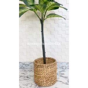 Pohon Imitasi Pohon Daun Bahagia Hijau X3 T140 Latex Artificial Pot Dasar Cover Eceng Gondok Hiasan Aesthetic