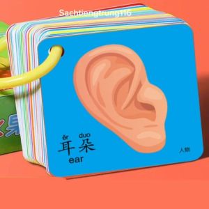 (Sỉ và Lẻ) Thẻ Flash Card/ Thẻ học tiếng Trung - Anh Theo Chủ Đề Đa Dạng