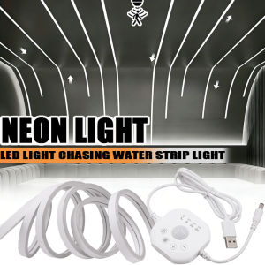 Running Water Flow Chasing LED Strip Lights 5V Motion Sensor Stairs Night Light for Room Corridor Ceiling Room Decor