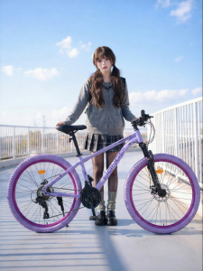 HONGQI | Mountain Road Bike for Adult and Youth Purple Tires Off-road Variable Speed