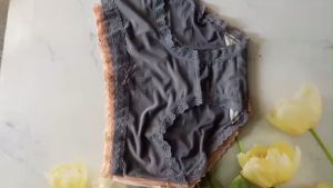 Túi 3 Quần lót nữ thun lạnh siêu mềm mát phối ren đùi và ren lưng size cỡ 40-45kg QL360