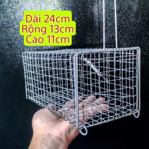 Combo 2 Bẫy Chuột Cống Nhum Loại 24x13x11 Có Khoen Chống Sẩy