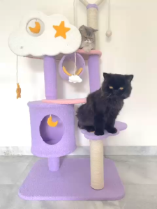 Pohon Kucing Kayu Asli Cat Tree kandang Kucing Hammock Kucing Rumah Kucing Mainan Kucing Menara kucing Modern