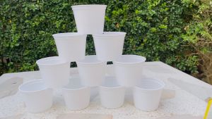 กระถางต้นไม้สีขาว 4” แพ็ค 10 ใบ สินค้าพร้อมจัดส่ง