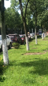 Multi Mesin Rumput Spare Parts Lawn Mower Hard Shaft Side-Mounted Backpack Brush Cutter Hard Shaft Core