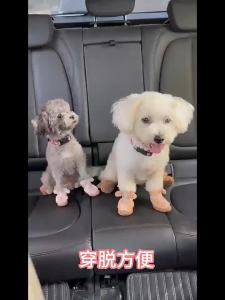 HCPET | Warm Pet Shoes For Small Dogs Anti-dirt & Fall-off Protection