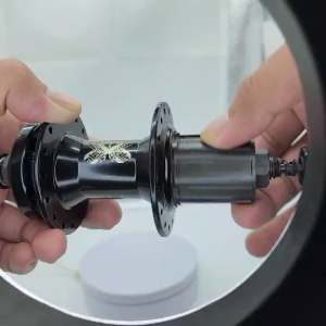 Ragusa R200 Hub 3 Pawls