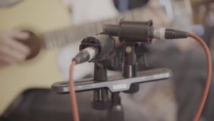 Alston SP-25G Acoustic Guitar