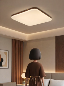 DGY | Traditional Minimalist Square Ceiling Light R335