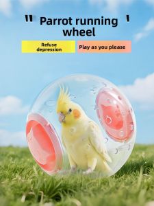 VOA | Entertainment & Stress Relief Silent Running Wheel for Parrots