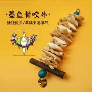 Large Chunk Squid Bone Bite Toy Parrot Special Small Sunflower Seed Snack Grinding Beak Chewing Toy Pigeon Peacock Quail
