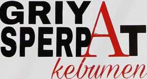 Memahami Membran Racing RX King Lidah Carbon: Desain Aerodinamis & Performa Tinggi