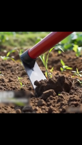 Heavy Duty Garden Asarol with Steel Handle Durable Farm Hoe for Digging Weeding & Soil Aeration