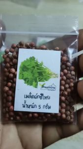5 กรัม ผักชีไทย เมล็ดผักชีไทย ผักชี เมล็ดผักชี