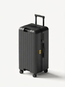 cece | Multifunctional Black PC Travel Suitcase