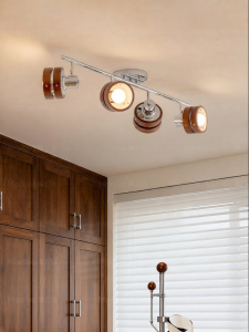 FANCY LAMP CLUB | Adjustable Angle Ceiling Light