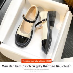 Giày Mary Jane Mũi Nhọn Đế Dày Phong Cách Pháp Cổ Điển - Thời Trang Thu Đông
