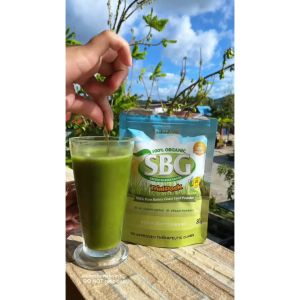 Salveo Barley Grass: A Comprehensive Guide to 100% Pure Organic Powder Capsules