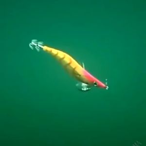 SUKE Squid Jig Luminous Shrimp Octopus Bait 8CM/7.6G For Octopus Fishing Artificial Spinner Bait