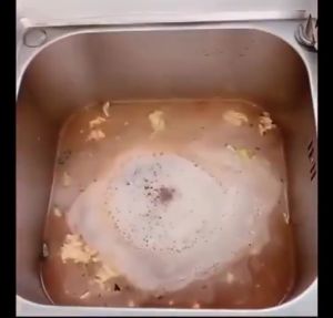 Drain Clog Remover 管道疏通剂 Paip Tersumbat Powerful Dissolution Kitchen Sink Drain Pipe Cleaner 500ML