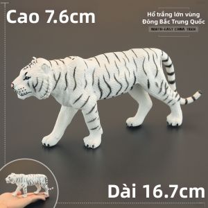 MENGSILE | Mô Hình Động Vật Trẻ Em Thực Tế
