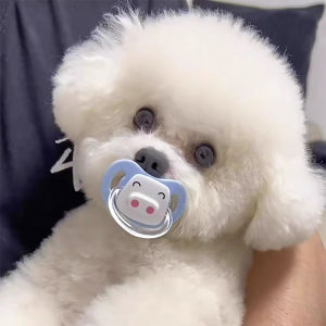 Pet Toy Dog Teething Chew Toy Soothing Nipple Puppy Teeth Grinding Resistant Breed Specific Small Body Young Pup Chew Gel