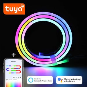 แถบไฟนีออน LED 12/24V Tuya rgbic ควบคุมแอป WIFI 1-10M หลอดไฟ rgbic เทปทำงานร่วมกับ Alexa สำหรับบ้านแบบไดนามิก deocor Lighting