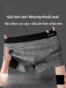 MiiOW | Quần lót nam Catman Pure Cotton thoáng khí kháng khuẩn cạp vừa quần đùi nam mùa thu 2024 quần lót thoải mái thoáng khí