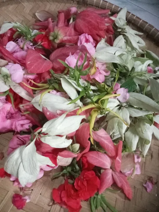 Bunga%207%20rupa%20Bunga%20ziarah%20kubur%20fress%20dan%20wangi%20,bli%201%20dapat%20gratis%201%20botol%20air%20mawar%20-%20Image%204