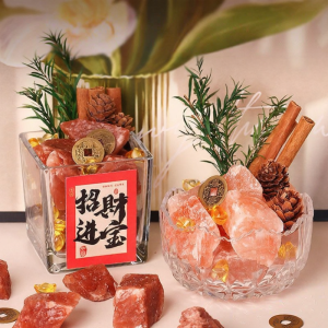 HETANGYUESHE | Feng Shui Wealth Attraction Decor Item