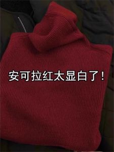 Áo Len Dệt Kim Cổ Cao Dày Cho Nữ Áo Sơ Mi Cơ Bản Thời Trang Thu Đông Áo Len Dệt Kim Cổ Bẻ Xếp Nếp Bên Trong