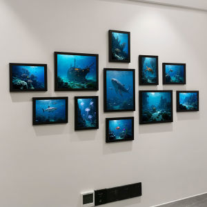 กรอบรูปตกแต่งพื้นหลังสัตว์น้ำทะเล รูปภาพผนัง รูปภาพกรอบรูป ตกแต่งห้องนั่งเล่น โมเดิร์นเรียบง่าย วัสดุโพลีเอสเตอร์ ขนาดใหญ่