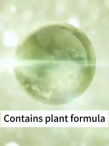 500ML Flea and Tick Remover for Dog and Cat Anti Tick Flea | Anti Garapata Remover for Dog | Garapata Killer Spray