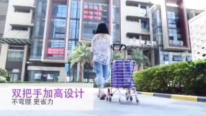 [SG Stock] WOODLES Shopping Cart Grocery Utility Market Push-Pull with Bag Trolley Cargo Trolley Stair Climbing 8-Wheel Foldable Aluminum Alloy Add Cover Thermal Bag
