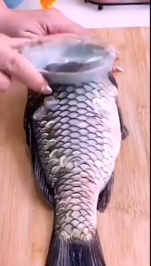 TLE Fish Scale Scraper Skin Remover Alat Buang Sisik Ikan Fish Scale Remover Knife Peeler Scaler Kitchen Tools