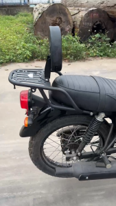 Baga Kawasaki W175 Baga Sau Dạng Tấm Gắn Tựa Lưng Kawasaki W175