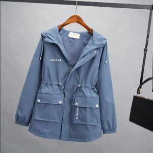 Brand Discount Spring Autumn Loose Casual Womens Windbreaker Fashionable All-Match Short Coat Zipper Closure Long Sleeve