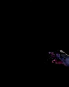 Pohon Kelengkeng PingPong: Bibit & Cara Merawat