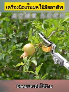 【แถมเลื่อยฟัน 30 ซม.】 กรรไกรตัดกิ่งไม้สู กรรไกรเก็บผลไม้ กรรไกรตัดหนีบ การตัดที่เร็ว ยืดหกถึง1.8-3M/2.4-4m