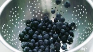 Premium Dried Blueberries - Bursting Snack