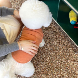 Autumn Pet Bottoming Shirt Teddy Bichon Pomeranian Schnauzer Yorkshire Small Size Dogs Cat and Dog Clothes Autumn