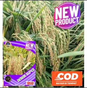Benih padi SIDENOK SUPER UNGGUL kemasan 1KG