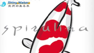 อาหารปลาคาร์ฟ โคริ Kori เม็ด 4 มม. (size L) ขนาด 15 กก. 1 ถุง