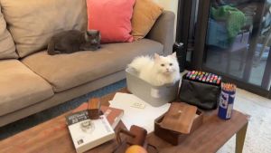 เครื่องให้อาหารแมวอัตโนมัติ พร้อมกล้องวงจรปิดติดเครื่อง MeesoF01