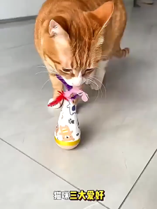 Tumbler Cat Toy Interactive Self-Happy Wooden Weeble Wobble Feather Toy Safe Bite Resistant Sharpens Mental Agility For Cat Dog