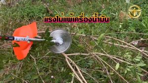 เครื่องตัดหญ้า ชาร์จแบตได้ สีส้ม 600 วัตต์ 24v 9000 รอบ/นาที 🛒 มีหลายตัวเลือก🛒