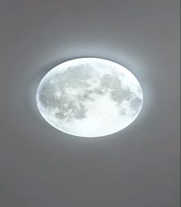 【ENG-Lighting】 Nordic Bedroom Lights Ceiling Lamp Center Light Led Modern Living Room Ceiling Light